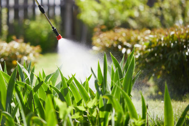 Tamper-Resistant Bait Stations for Rodents in Porter Heights