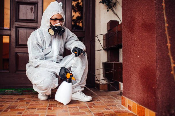 Attic and Crawl Space Rodent Treatment in Porter Heights
